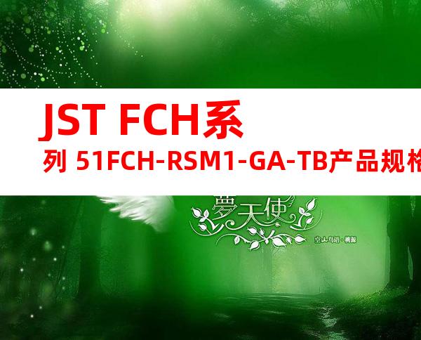 JST FCH系列 51FCH-RSM1-GA-TB产品规格书